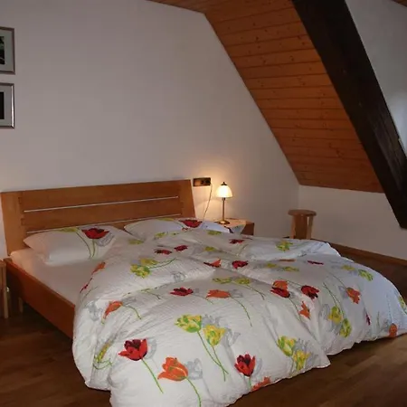 Lejlighed Hanselishof